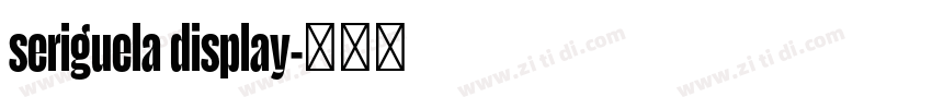 seriguela display字体转换